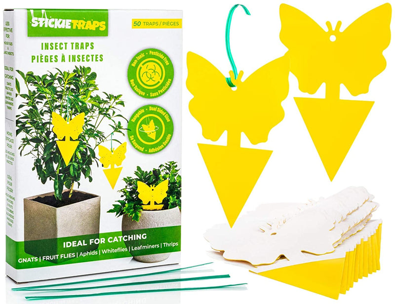 EcoCanucks StickieTraps (50 Pack) - Sticky Fruit Fly Traps & Gnat Traps Indoor & Outdoor | Fungus Gnats, Fruit Flies, Plant Insect Trap | Sticky Traps