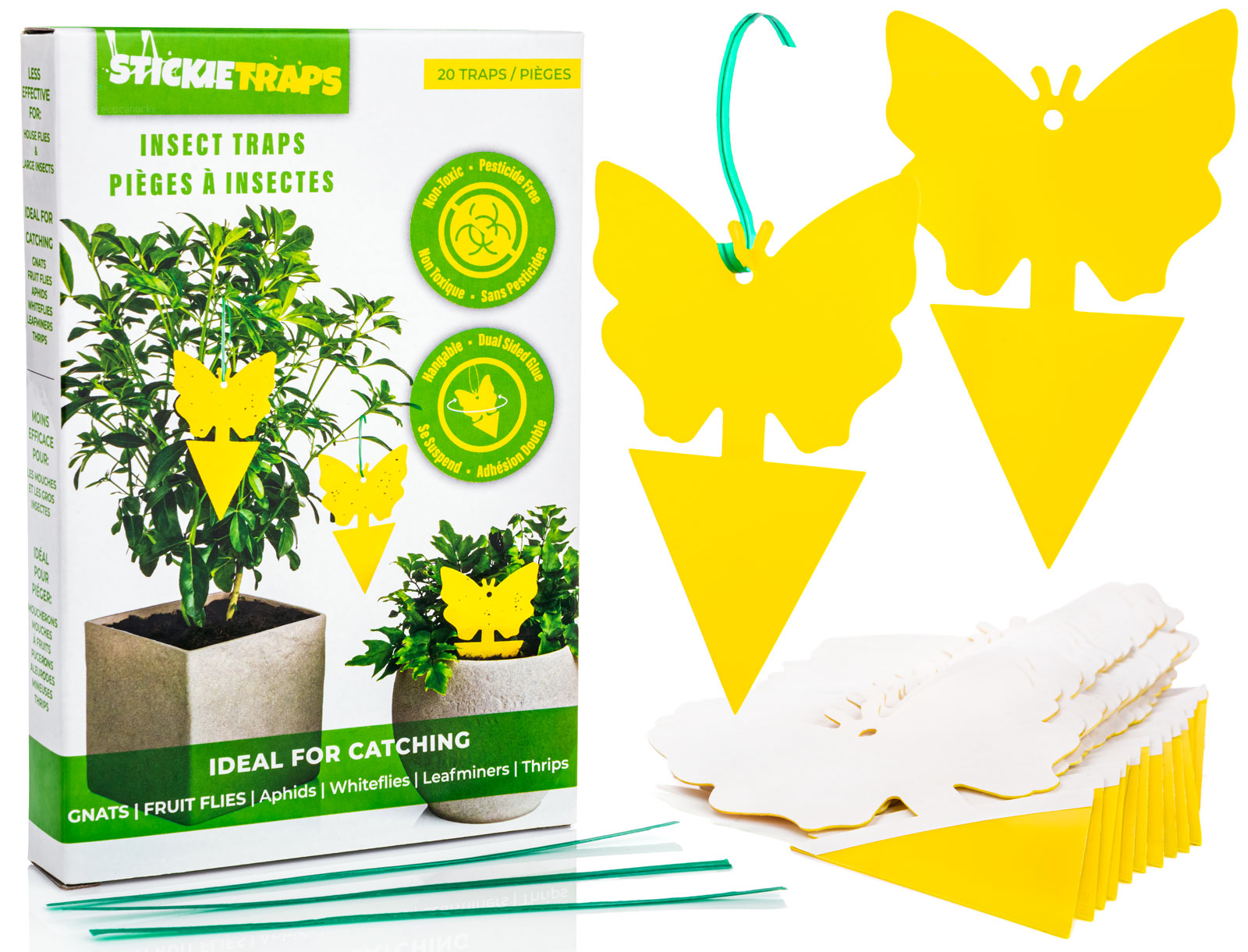 Gnat Killer Sticky Traps - 5 Pack – Ed's Plant Shop